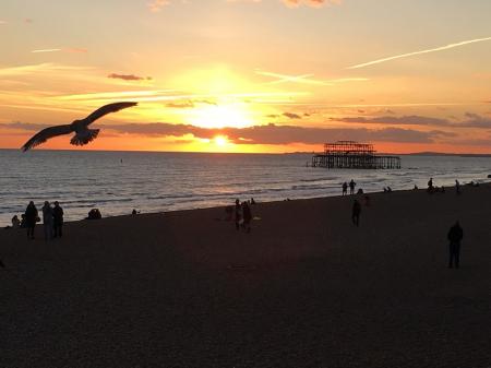 Beautiful Buzzing Breathtaking BRIGHTON   