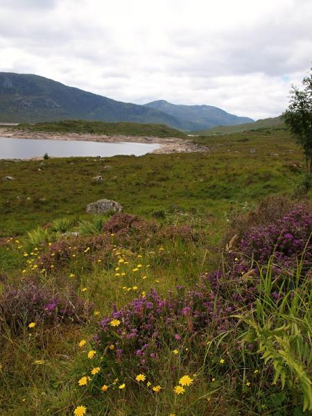 Okruh Skotskem a na skok do Londýna 