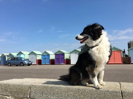 Brighton pro teenagery